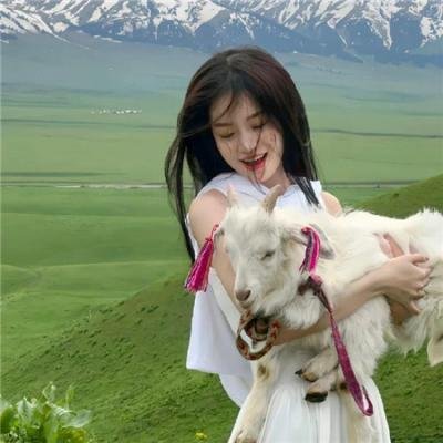 最后的独角兽