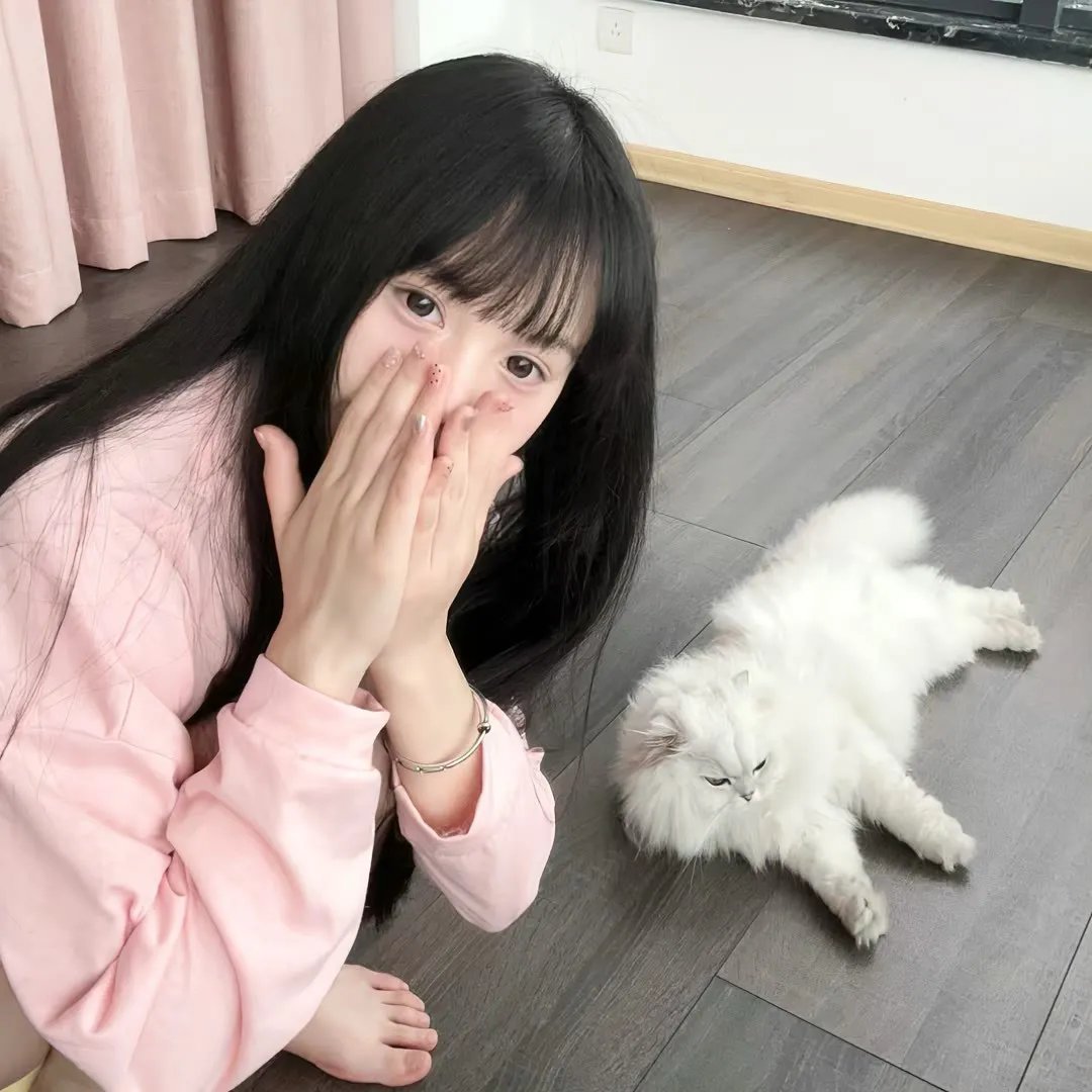 鲨鱼女孩